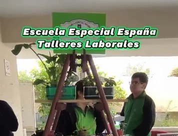 Talleres Laborales Fortalecen Competencias Técnicas Para Ayudar A Estudiantes Con TEA
